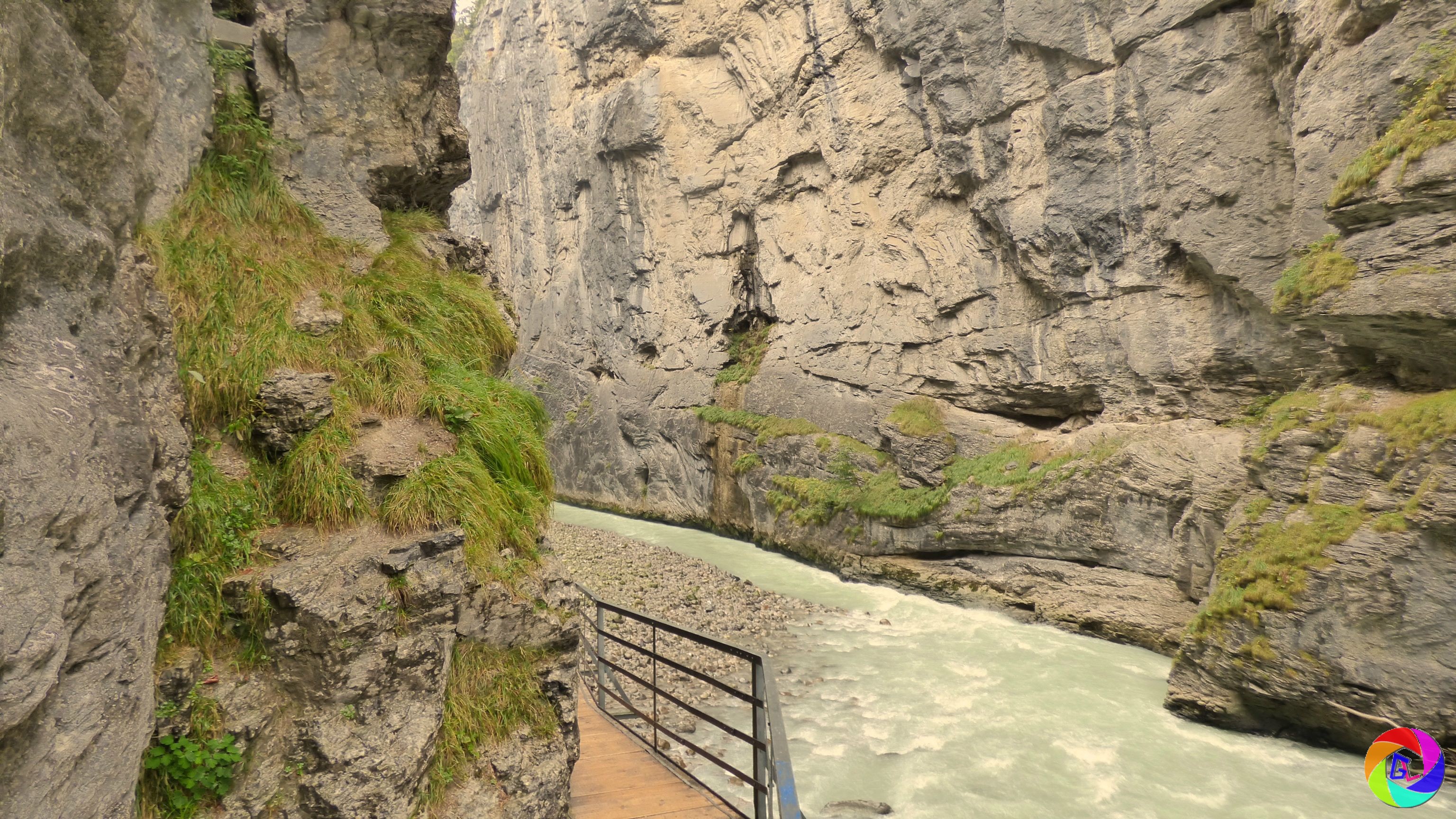 "The gorge of the river Aare"